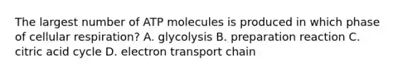 The largest number of ATP molecules is produced in which phase of cellular respiration? A. glycolysis B. preparation reaction C. citric acid cycle D. electron transport chain