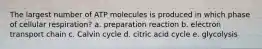 The largest number of ATP molecules is produced in which phase of cellular respiration? a. preparation reaction b. electron transport chain c. Calvin cycle d. citric acid cycle e. glycolysis