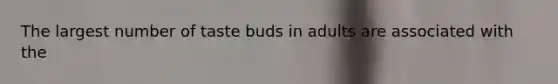 The largest number of taste buds in adults are associated with the