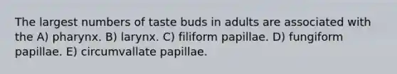 The largest numbers of taste buds in adults are associated with the A) pharynx. B) larynx. C) filiform papillae. D) fungiform papillae. E) circumvallate papillae.