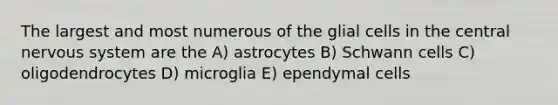 The largest and most numerous of the glial cells in the central nervous system are the A) astrocytes B) Schwann cells C) oligodendrocytes D) microglia E) ependymal cells