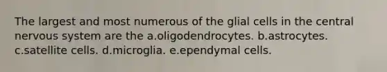 The largest and most numerous of the glial cells in the central nervous system are the a.oligodendrocytes. b.astrocytes. c.satellite cells. d.microglia. e.ependymal cells.