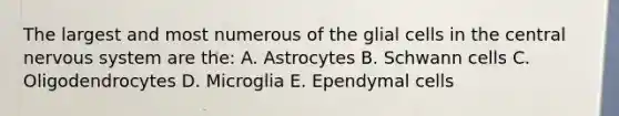 The largest and most numerous of the glial cells in the central nervous system are the: A. Astrocytes B. Schwann cells C. Oligodendrocytes D. Microglia E. Ependymal cells