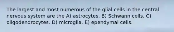 The largest and most numerous of the glial cells in the central nervous system are the A) astrocytes. B) Schwann cells. C) oligodendrocytes. D) microglia. E) ependymal cells.