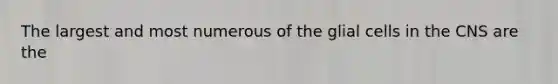 The largest and most numerous of the glial cells in the CNS are the
