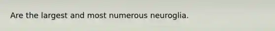 Are the largest and most numerous neuroglia.