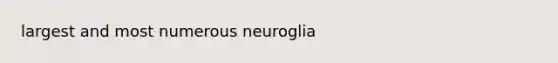 largest and most numerous neuroglia