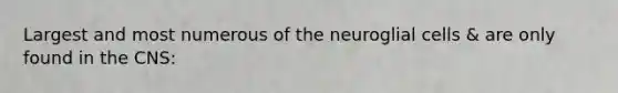 Largest and most numerous of the neuroglial cells & are only found in the CNS: