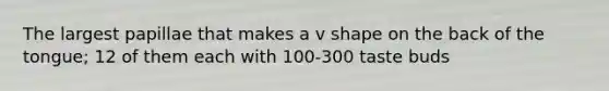 The largest papillae that makes a v shape on the back of the tongue; 12 of them each with 100-300 taste buds