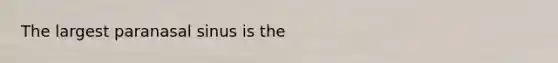 The largest paranasal sinus is the