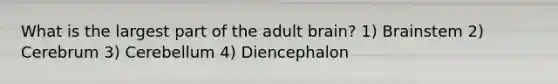 What is the largest part of the adult brain? 1) Brainstem 2) Cerebrum 3) Cerebellum 4) Diencephalon