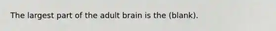 The largest part of the adult brain is the (blank).