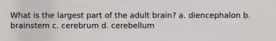 What is the largest part of the adult brain? a. diencephalon b. brainstem c. cerebrum d. cerebellum