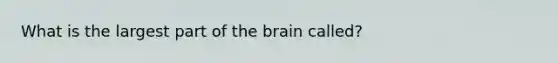 What is the largest part of the brain called?