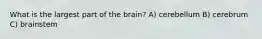 What is the largest part of the brain? A) cerebellum B) cerebrum C) brainstem