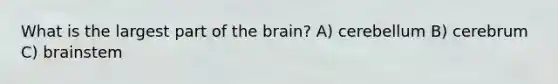 What is the largest part of <a href='https://www.questionai.com/knowledge/kLMtJeqKp6-the-brain' class='anchor-knowledge'>the brain</a>? A) cerebellum B) cerebrum C) brainstem