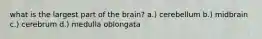 what is the largest part of the brain? a.) cerebellum b.) midbrain c.) cerebrum d.) medulla oblongata