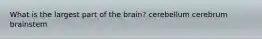 What is the largest part of the brain? cerebellum cerebrum brainstem