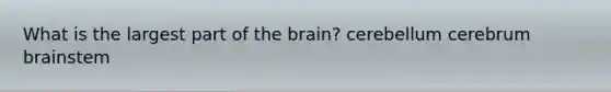 What is the largest part of the brain? cerebellum cerebrum brainstem