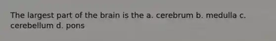 The largest part of the brain is the a. cerebrum b. medulla c. cerebellum d. pons