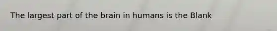 The largest part of <a href='https://www.questionai.com/knowledge/kLMtJeqKp6-the-brain' class='anchor-knowledge'>the brain</a> in humans is the Blank