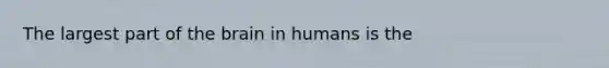 The largest part of <a href='https://www.questionai.com/knowledge/kLMtJeqKp6-the-brain' class='anchor-knowledge'>the brain</a> in humans is the