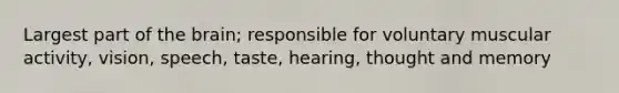 Largest part of the brain; responsible for voluntary muscular activity, vision, speech, taste, hearing, thought and memory