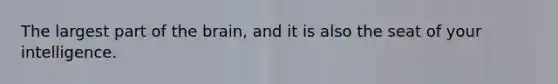 The largest part of <a href='https://www.questionai.com/knowledge/kLMtJeqKp6-the-brain' class='anchor-knowledge'>the brain</a>, and it is also the seat of your intelligence.
