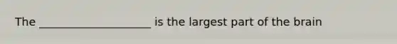 The ____________________ is the largest part of the brain