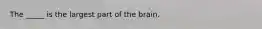 The _____ is the largest part of the brain.