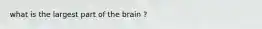 what is the largest part of the brain ?