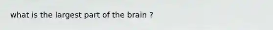 what is the largest part of the brain ?