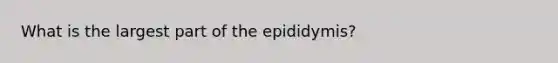 What is the largest part of the epididymis?