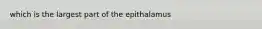 which is the largest part of the epithalamus