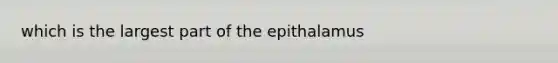 which is the largest part of the epithalamus