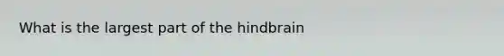 What is the largest part of the hindbrain