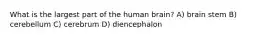 What is the largest part of the human brain? A) brain stem B) cerebellum C) cerebrum D) diencephalon