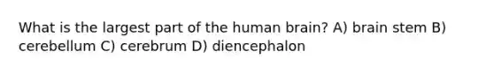 What is the largest part of the human brain? A) brain stem B) cerebellum C) cerebrum D) diencephalon