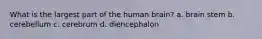 What is the largest part of the human brain? a. brain stem b. cerebellum c. cerebrum d. diencephalon