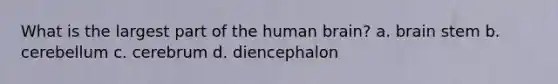 What is the largest part of the human brain? a. brain stem b. cerebellum c. cerebrum d. diencephalon