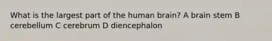 What is the largest part of the human brain? A brain stem B cerebellum C cerebrum D diencephalon