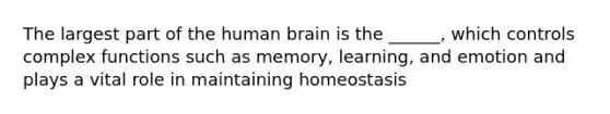 The largest part of the human brain is the ______, which controls complex functions such as memory, learning, and emotion and plays a vital role in maintaining homeostasis