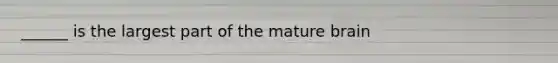 ______ is the largest part of the mature brain