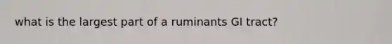 what is the largest part of a ruminants GI tract?