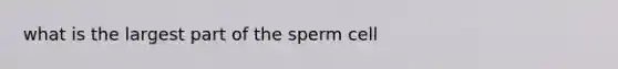 what is the largest part of the sperm cell