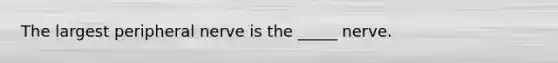 The largest peripheral nerve is the _____ nerve.