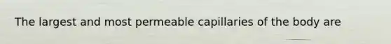 The largest and most permeable capillaries of the body are