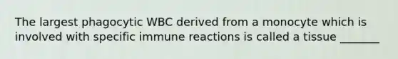 The largest phagocytic WBC derived from a monocyte which is involved with specific immune reactions is called a tissue _______