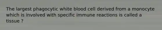 The largest phagocytic white blood cell derived from a monocyte which is involved with specific immune reactions is called a tissue ?