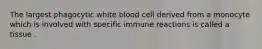 The largest phagocytic white blood cell derived from a monocyte which is involved with specific immune reactions is called a tissue .